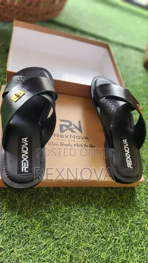 RexNova Terra