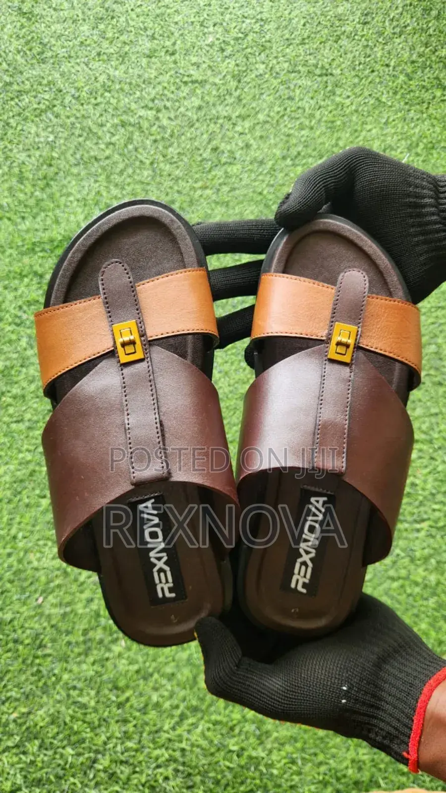 RexNova Prestige