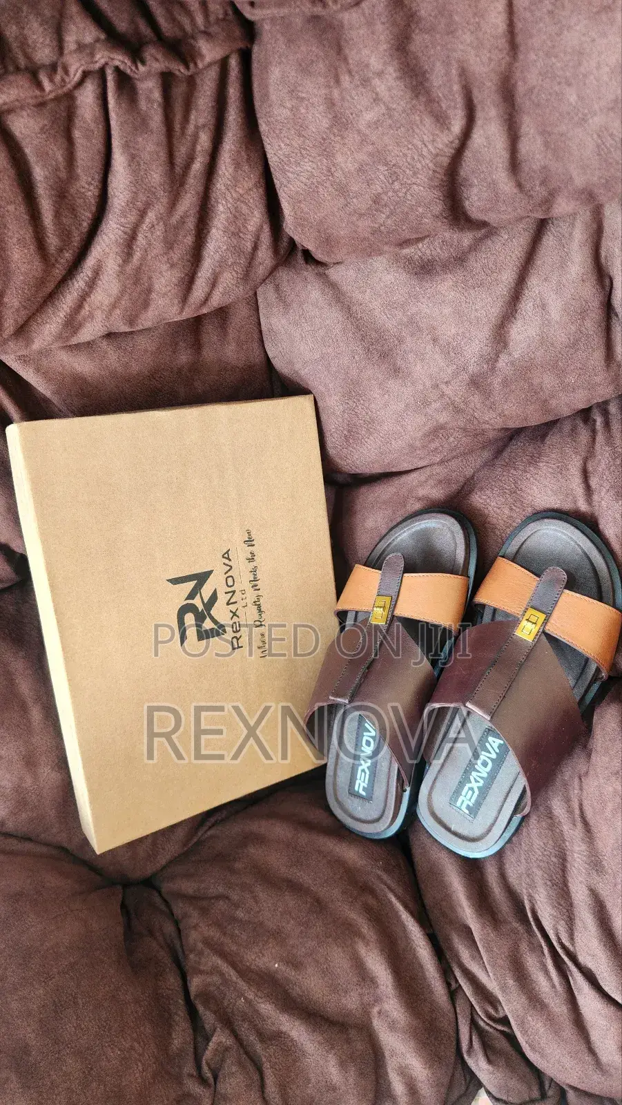 RexNova Prestige