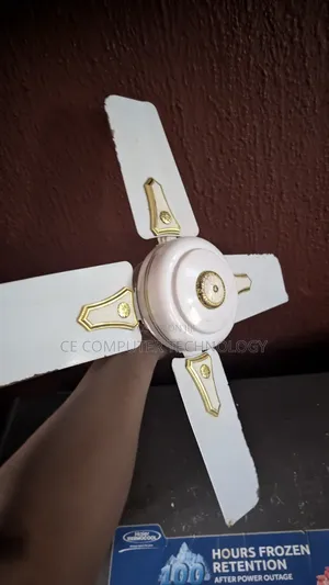 Ceiling Fan
