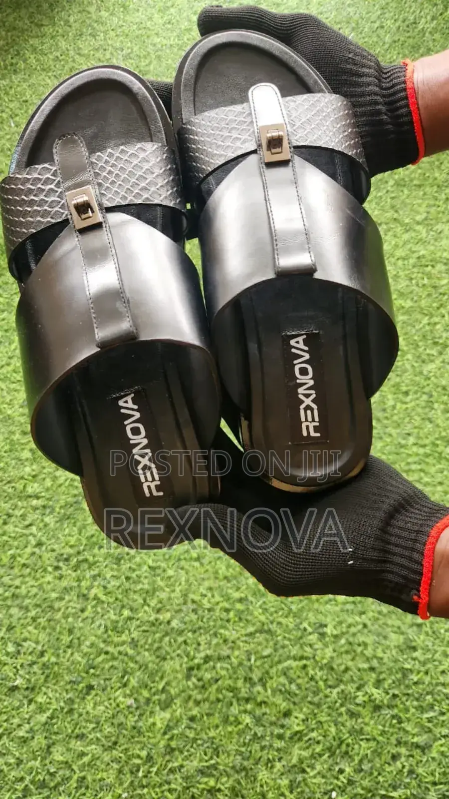 RexNova Prestige