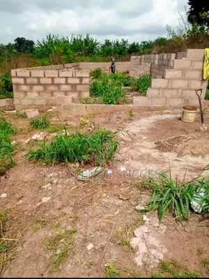 Half a Plot at Owode Ofada