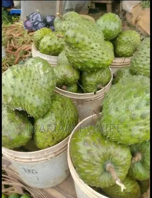 Fresh Soursop Fruit