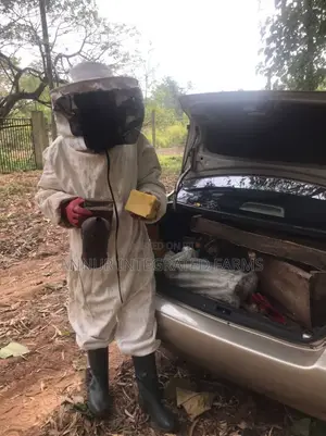 Ahnoour Honey Farm