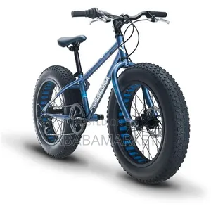 Big Tyre Bicycle – Conquer Every Road With Confidence