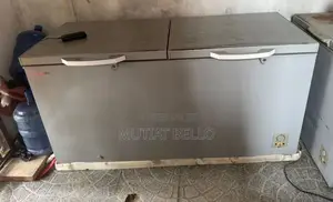 Double Door Hisense Freezer