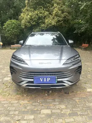 BYD Song Plus 2024 Gray