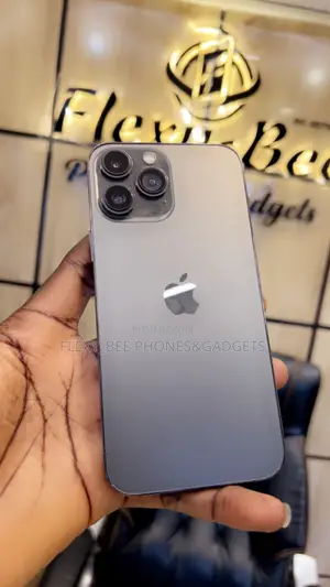 Apple iPhone 13 Pro Max 256 GB Black