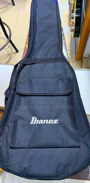 Professional Padded Guitar Bag