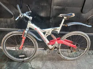 Adult Bicycle