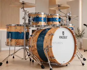 Professional Drum Set