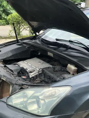 Lexus RX 330 2006 Gray