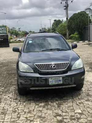 Lexus RX 330 2006 Gray