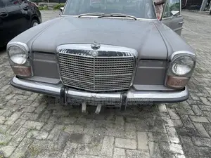 Mercedes-Benz 220 1971 Gray