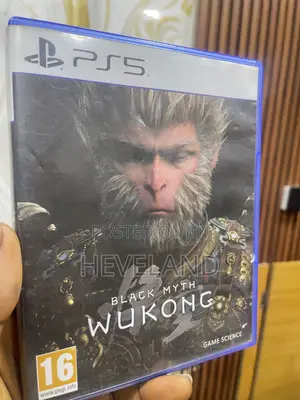 Super Clean Black Myth Wukong