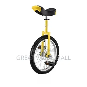 Training Unicycle