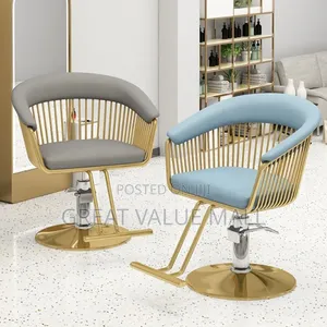 Professional Salon Styling Chair