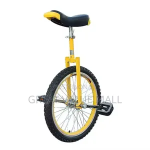 Kids Unicycle