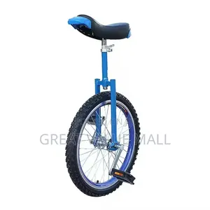 Children's Unicycle