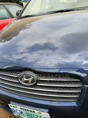 Hyundai Accent 2007 Blue