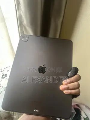 Apple iPad Pro 256 GB Gray