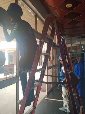 Professional Frameless Sensor Door