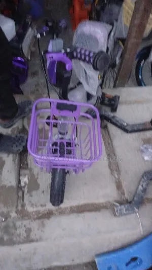 Tiger Bicycle Size 12