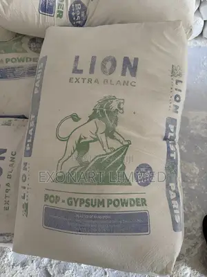 Lion Extra Blanc Gypsum Powder