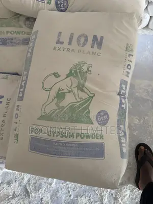 Lion Extra Blanc Gypsum Powder