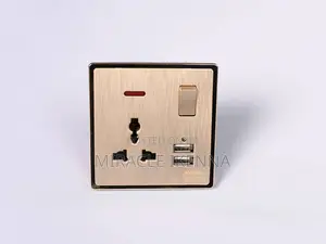 13A Double USB Sockets