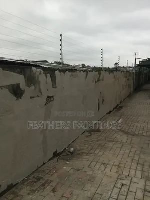 Exterior House Painting and Screeding in Lagos