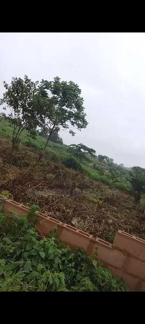 7 Plots of Land
