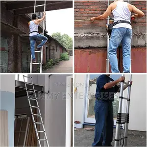 Telescopic Ladder