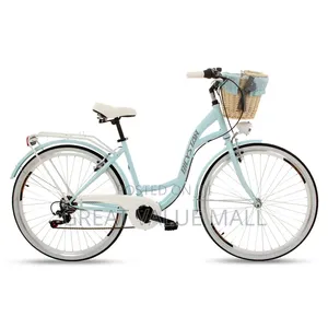 Family City Bike