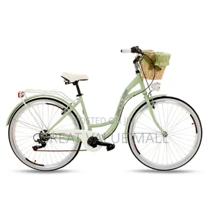Fashionable Family City Bicycle