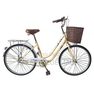 Fashionable Bike With Basket