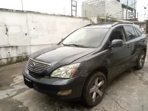 Lexus RX 2005 Gray