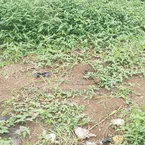 Land Available for Sale at Magada