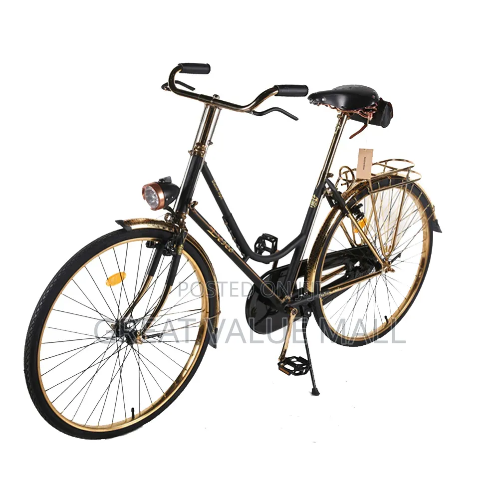 Multi Speed Bike