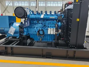 500kva Gas Generator Open Body, Basic