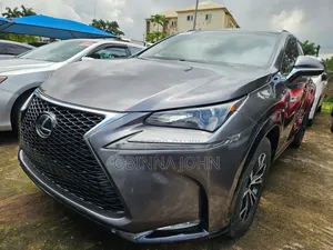 Lexus NX 2014 Gray