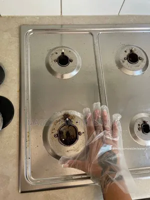 Kitchen Appliances Cleaning
