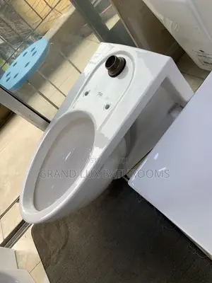 Luxury One-Piece Ceramic Floor-Standing Toilet Bowl (SHIP WATER CLOSET