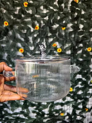 High Borosilicate Glass Pot