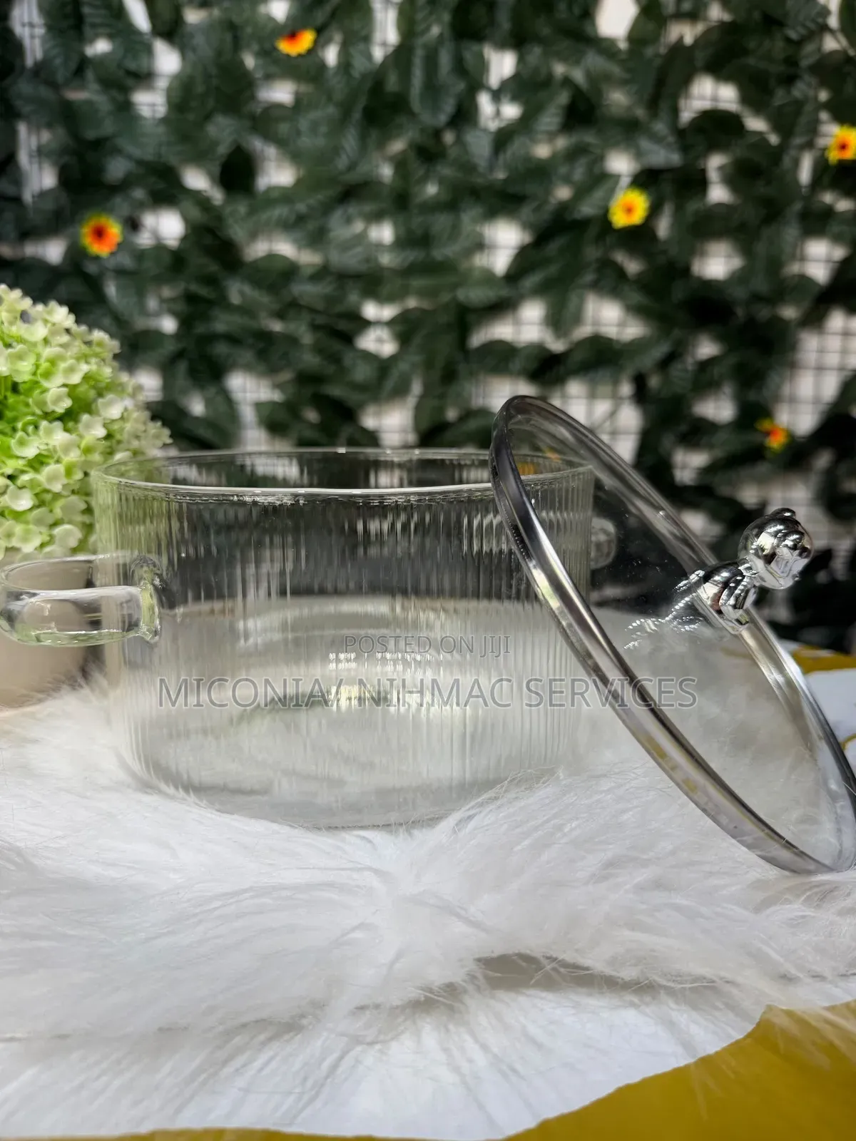 High Borosilicate Glass Pot