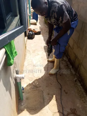 Termite Treatment Control Service in Lagos and Ogun State