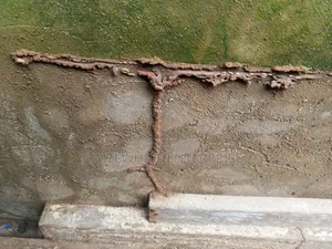 Termite Treatment Control Service in Lagos and Ogun State