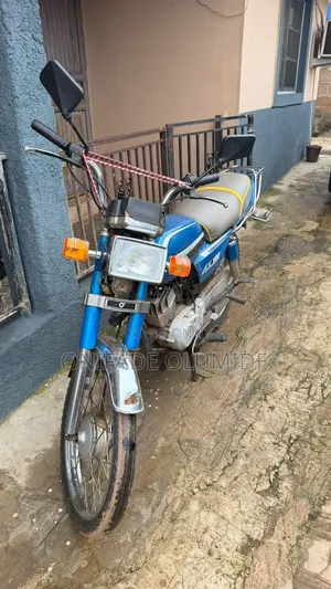 Jincheng Bike 2005 Blue