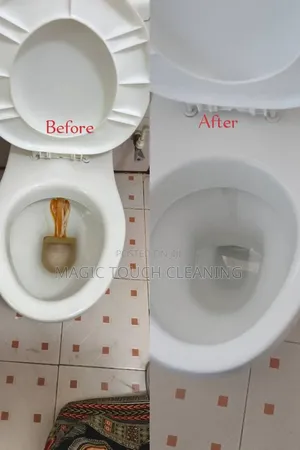 Disinfecting Toilet Seat