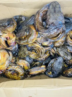 Dried Catfish